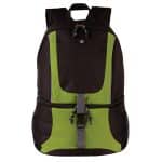 Backpack Cooler - 1