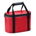 Ice River Economy Cooler -Small - 4